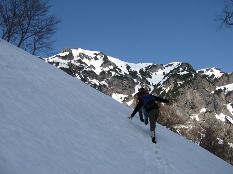 2009-04-13 Stripsenkopf (09)